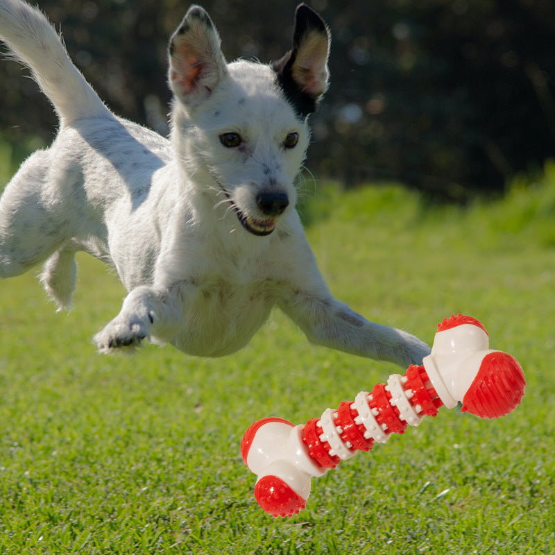 Interactive Bone-Shaped Chew Toy for Small Breed Puppies – Teething & Play