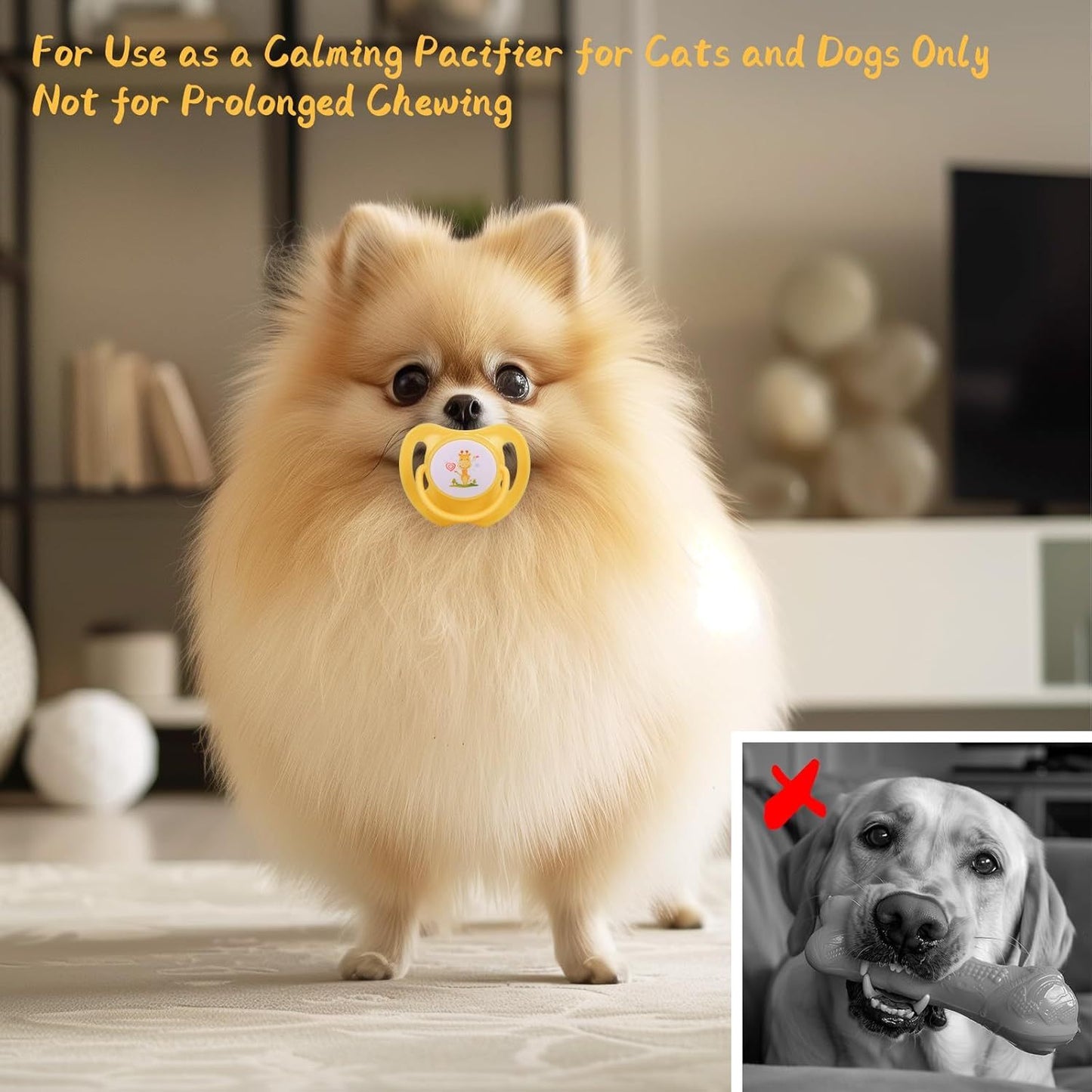 Dog & Kitten Pacifier Teething Toy – Chew Toy for Small Dogs, Puppies & Cats, Essential Pet Supplies