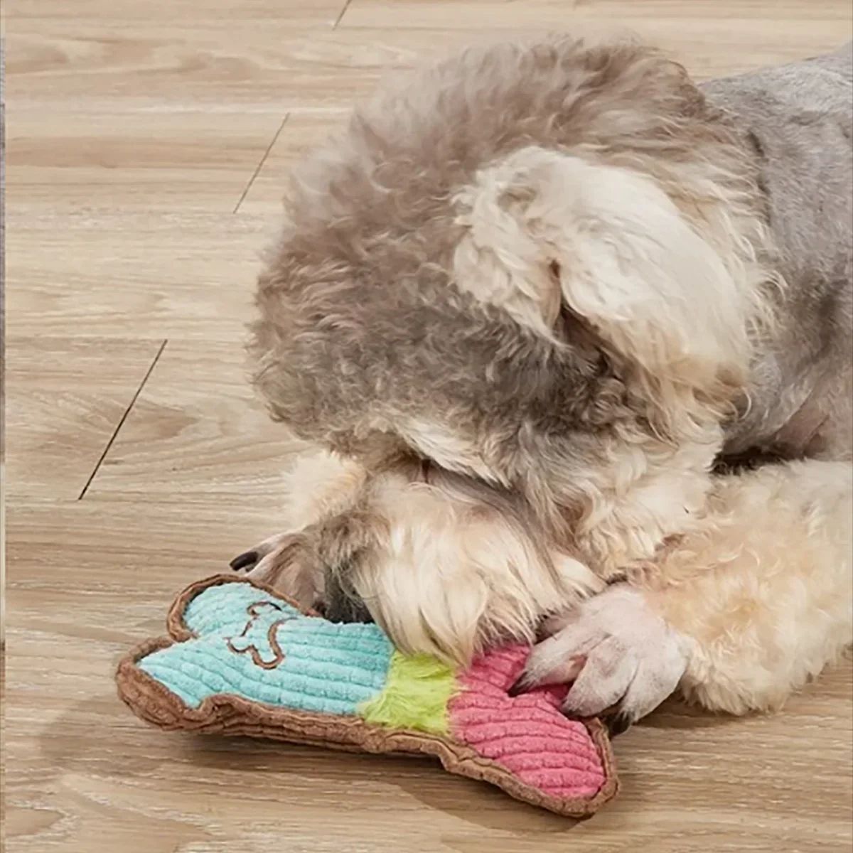 Plush Squeaky Dog Toys for Small & Medium Breeds – Puppy Chew Toy for Teething, Interactive Play, and Aggressive Chewers – Perfect Birthday Gift