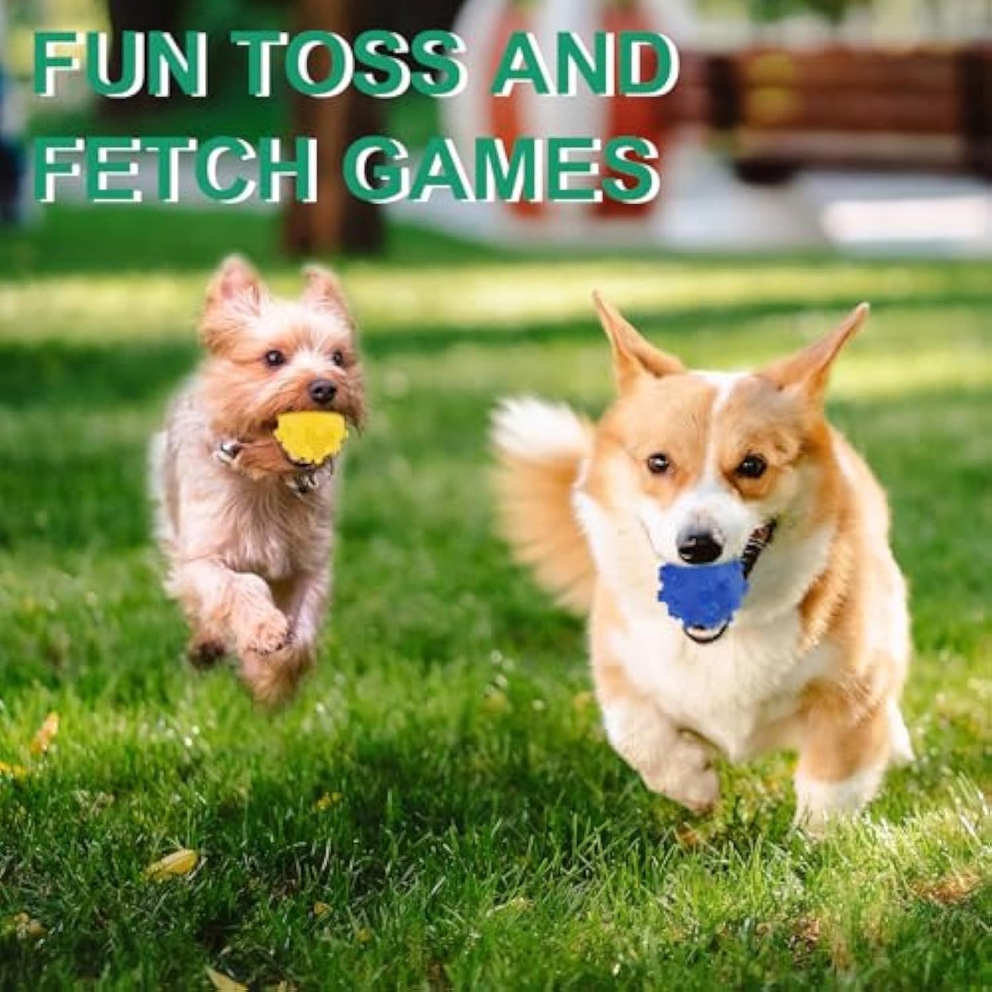 Bright Spike Dog Toy Balls – Durable Puppy Chew & Teething Toys for Small Dogs, Pomeranian, Chihuahua, Interactive Fetch & Water Play