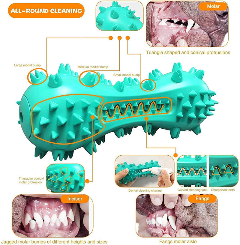 Rubber Molar Chew Stick for Dogs – Aggressive Chewers’ Dental & Oral Care Toy for Small, Medium & Large Breeds