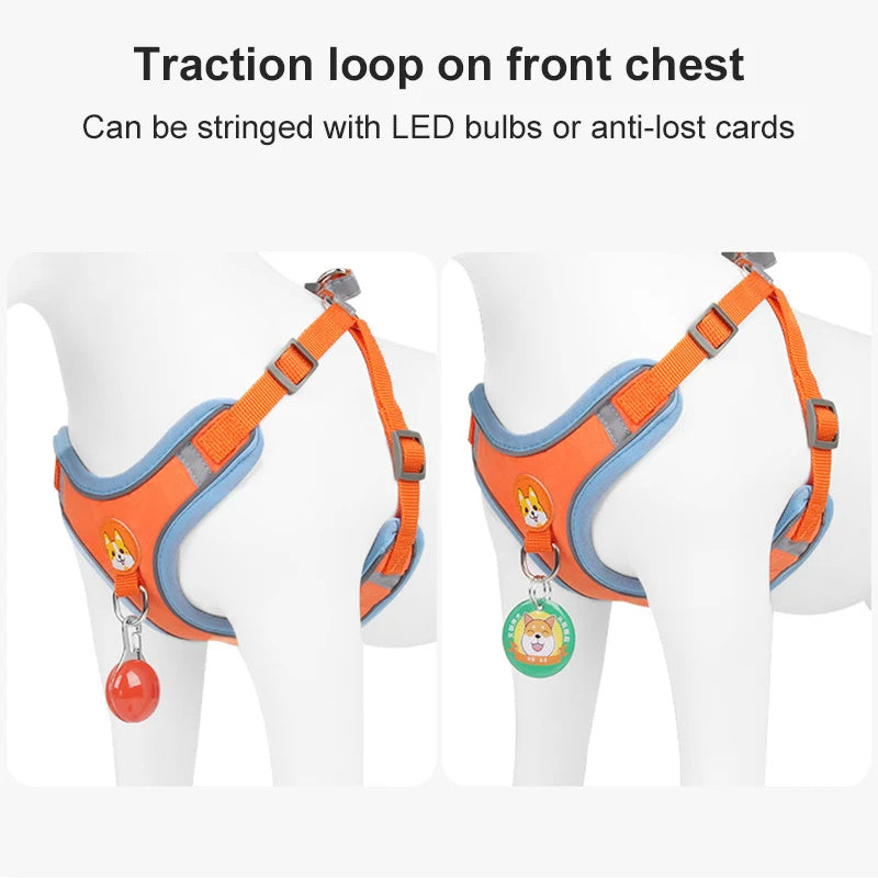 Adjustable Reflective Dog & Cat Harness & Leash Set – No-Pull, Comfortable Walking Lead for Small Dogs & Chihuahuas