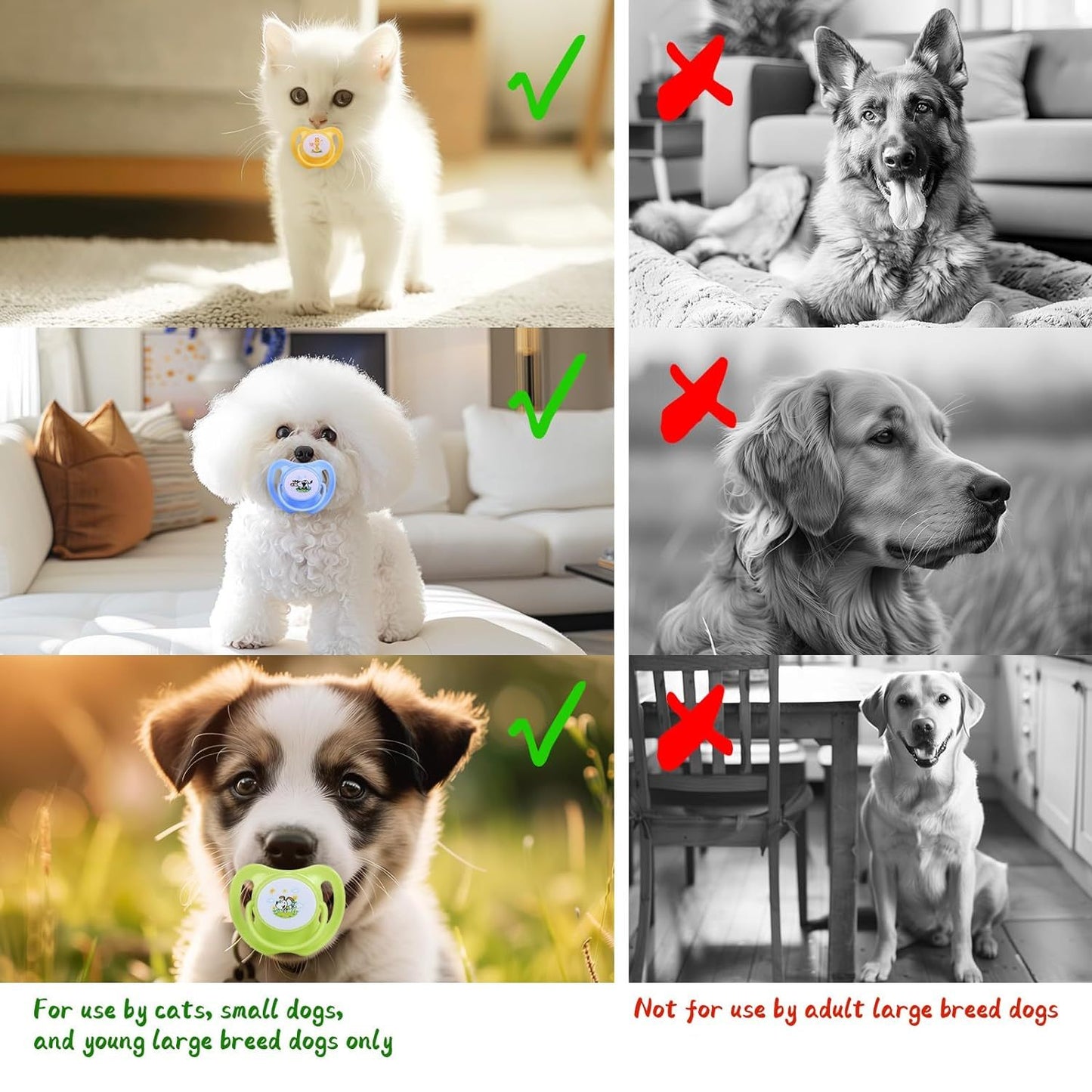 Dog & Kitten Pacifier Teething Toy – Chew Toy for Small Dogs, Puppies & Cats, Essential Pet Supplies