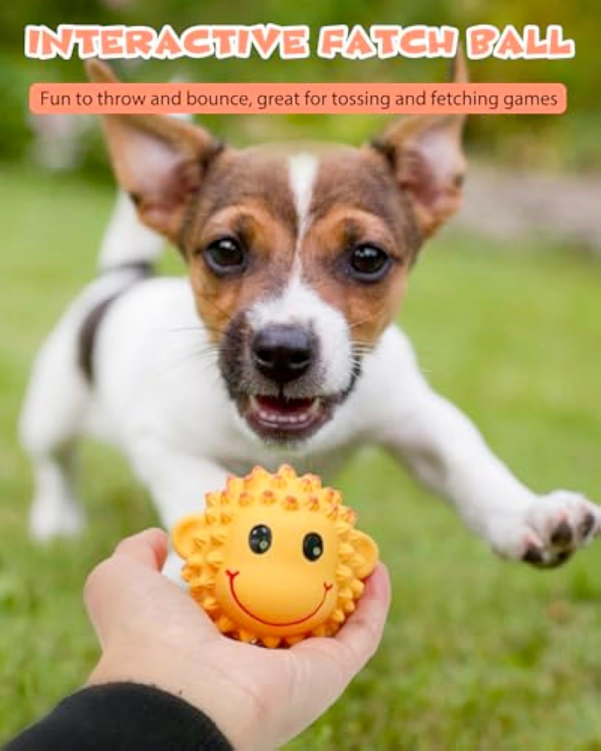 Interactive Squeaky Dog Toy Balls – Spiky Latex Chew & Fetch Toy for Puppies, Small & Medium Dogs, Teeth Cleaning Fun