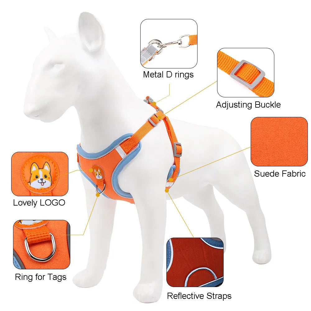 Adjustable Reflective Dog & Cat Harness & Leash Set – No-Pull, Comfortable Walking Lead for Small Dogs & Chihuahuas