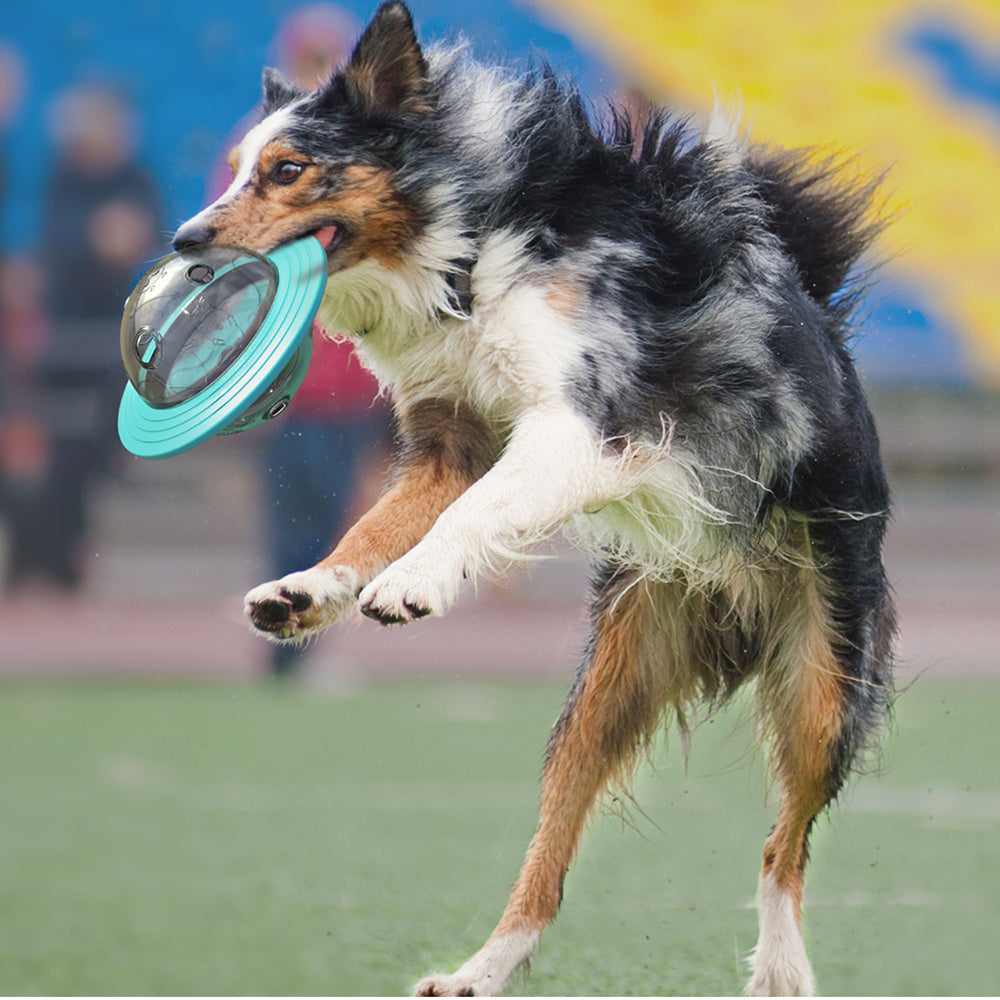 Interactive Dog Treat Dispensing Ball – Slow Feeder & IQ Training Toy for Small and Medium Dogs