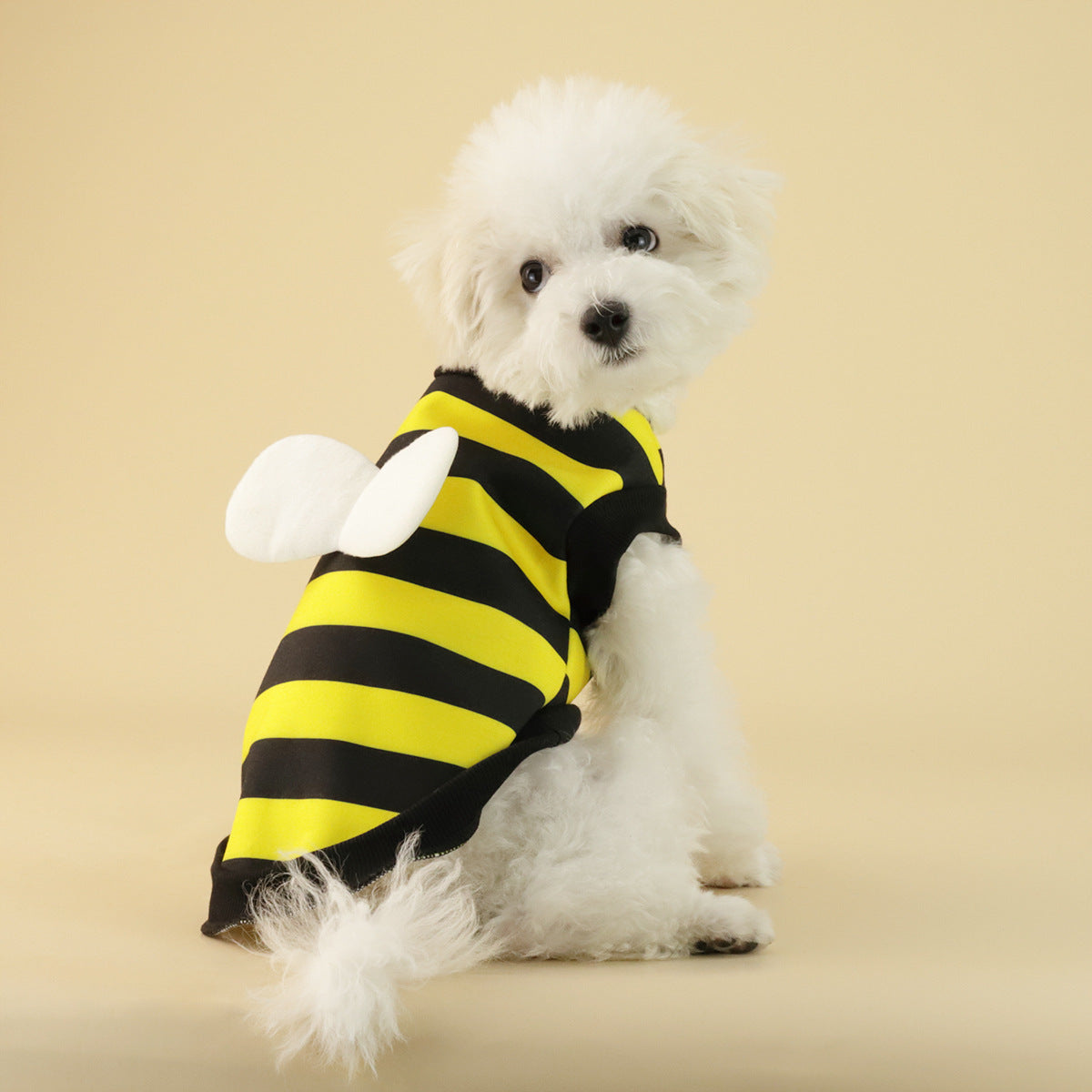 Frog Dog Sweater – Small/Medium