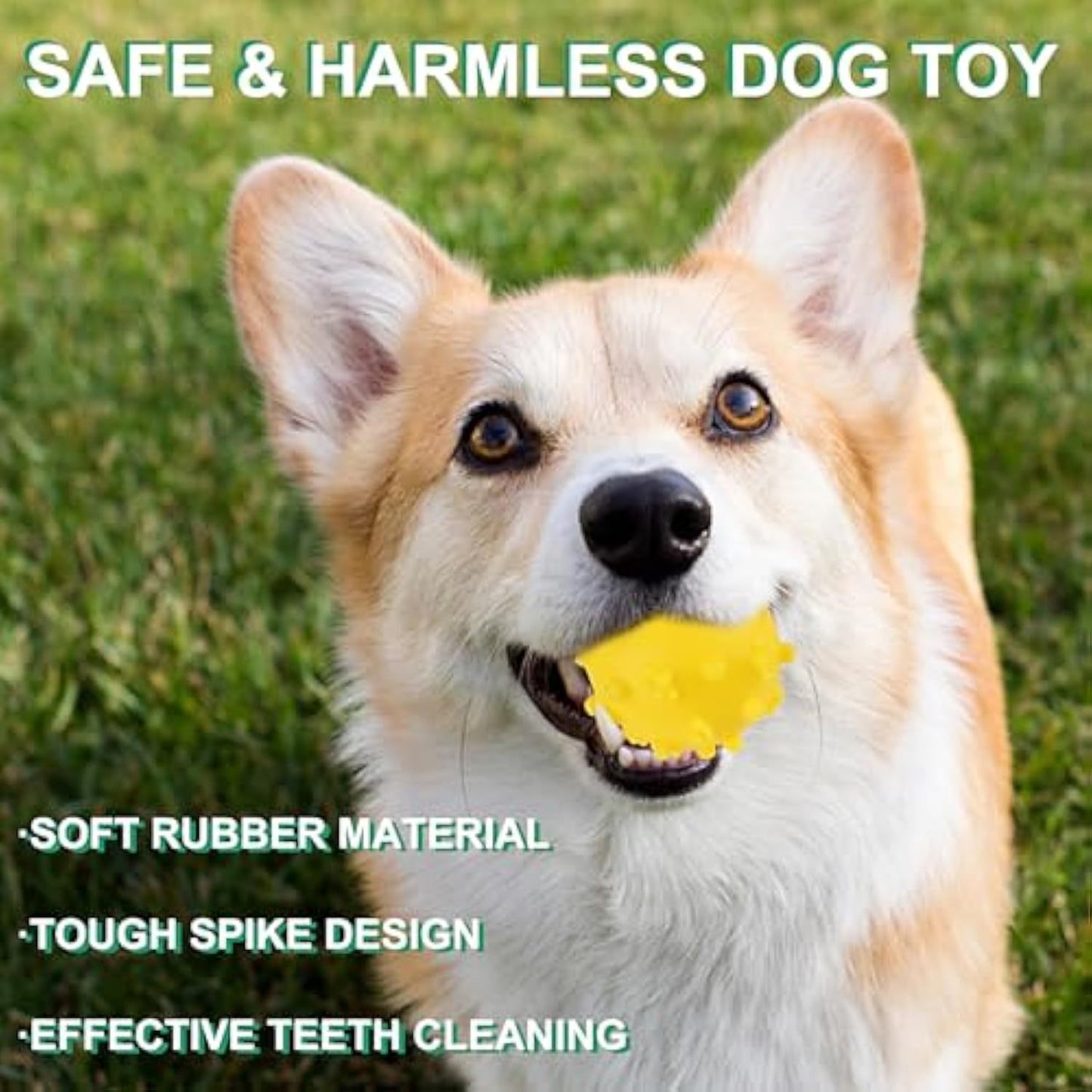 Bright Spike Dog Toy Balls – Durable Puppy Chew & Teething Toys for Small Dogs, Pomeranian, Chihuahua, Interactive Fetch & Water Play