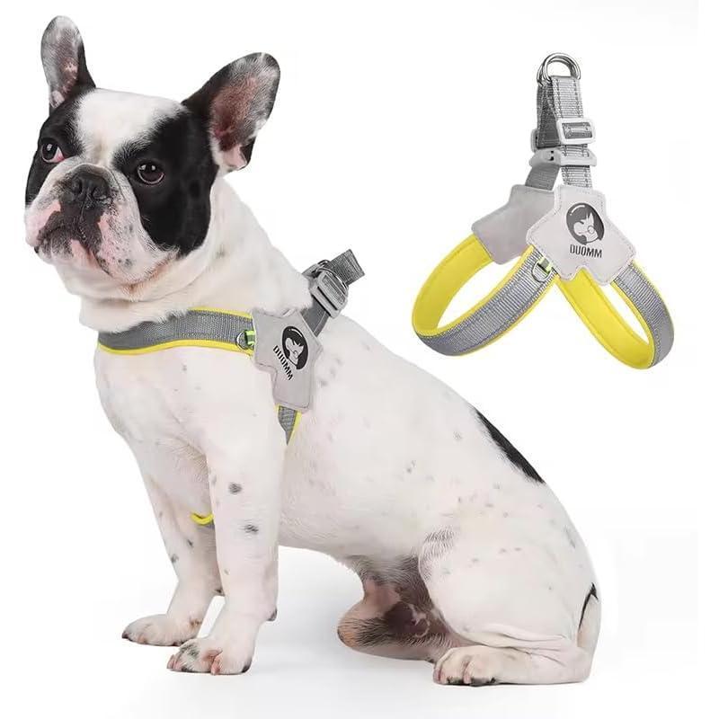 Adjustable No-Pull Pet Harness & Leash Set – Reflective & Comfortable