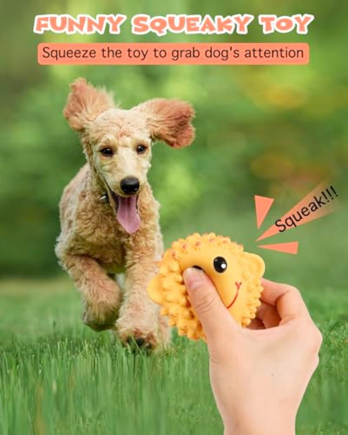 Interactive Squeaky Dog Toy Balls – Spiky Latex Chew & Fetch Toy for Puppies, Small & Medium Dogs, Teeth Cleaning Fun
