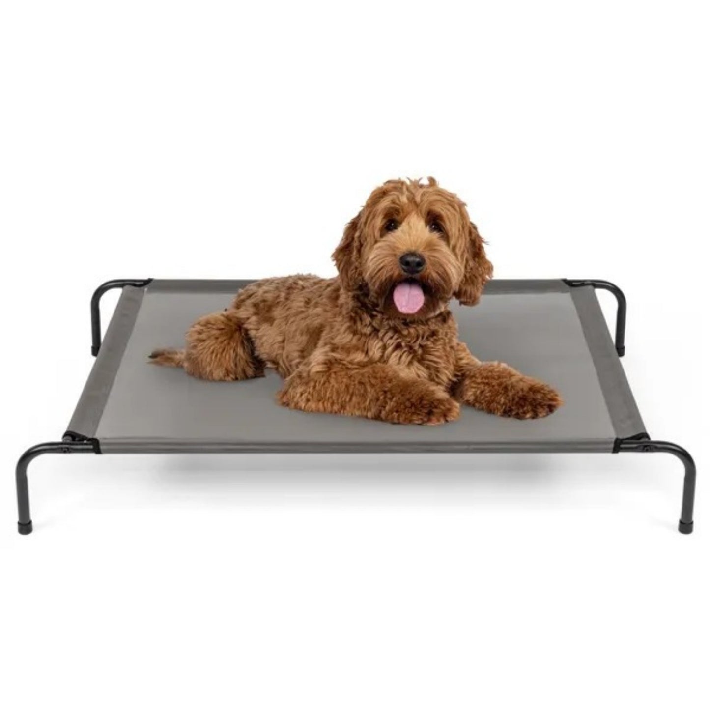 Elevated Dog Bed – 43"x26" Breathable Mesh & Steel Frame