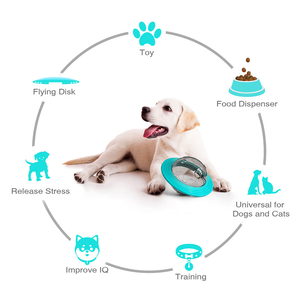 Interactive Dog Treat Dispensing Ball – Slow Feeder & IQ Training Toy for Small and Medium Dogs