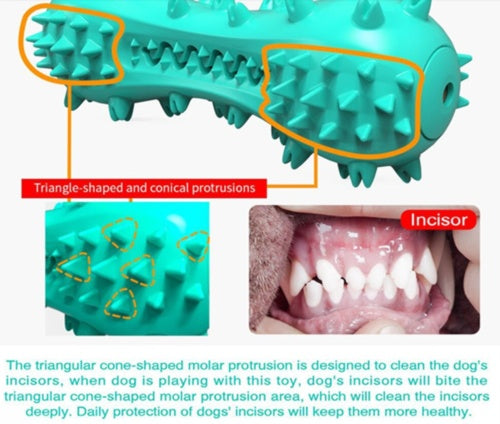 Rubber Molar Chew Stick for Dogs – Aggressive Chewers’ Dental & Oral Care Toy for Small, Medium & Large Breeds