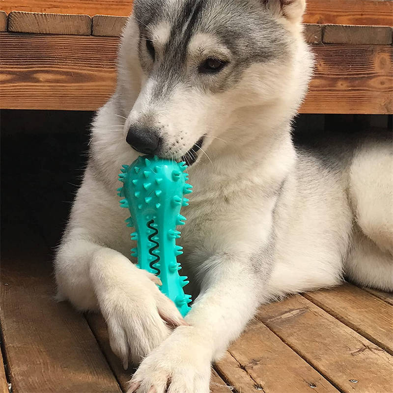 Rubber Molar Chew Stick for Dogs – Aggressive Chewers’ Dental & Oral Care Toy for Small, Medium & Large Breeds