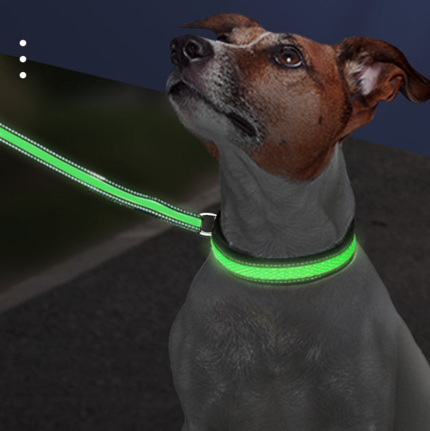 Collars & Tags