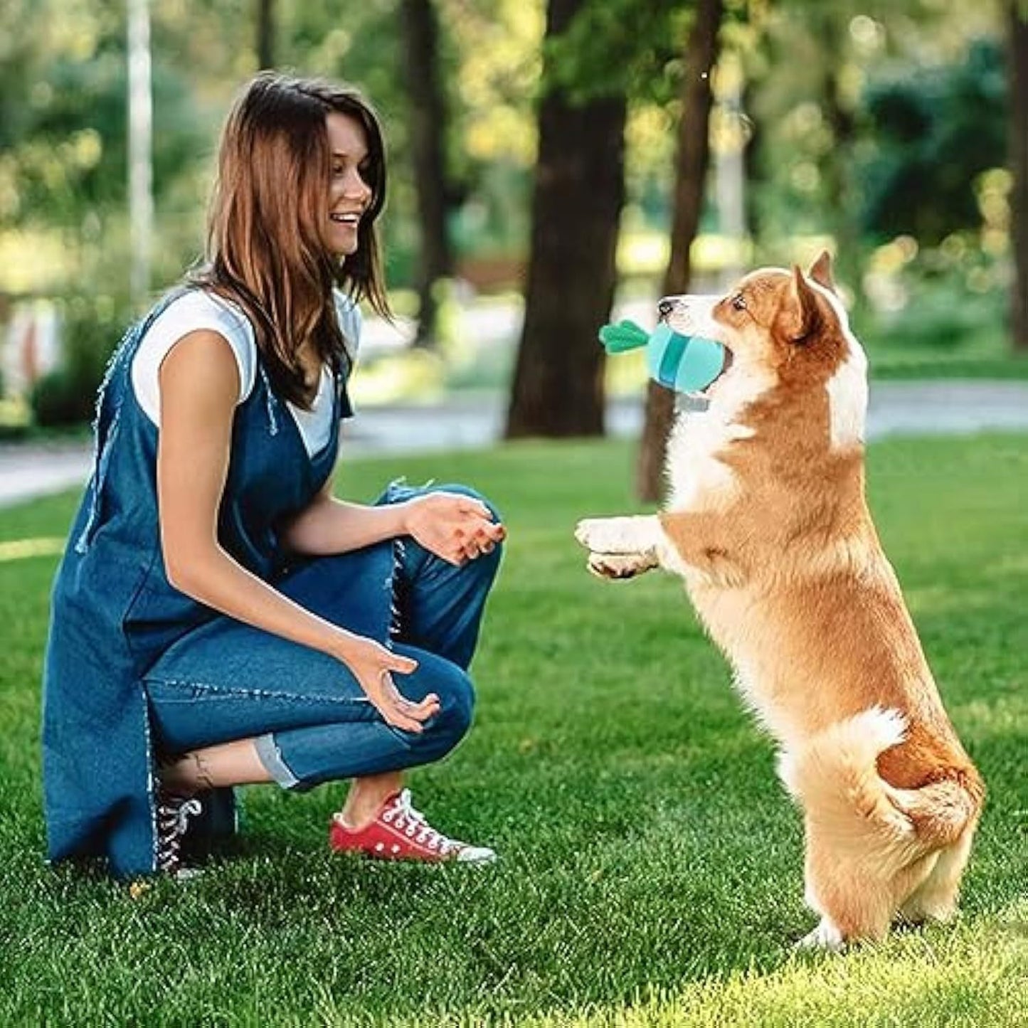 Interactive Treat-Dispensing Dog Puzzle Toy – Durable Rubber Chew & Ball for Medium & Large Dogs