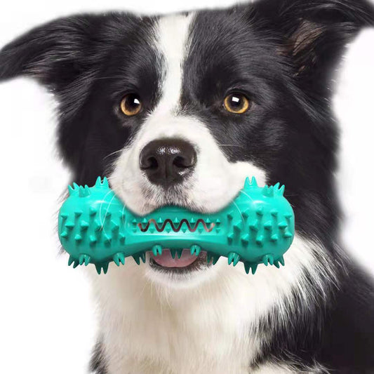 Rubber Molar Chew Stick for Dogs – Aggressive Chewers’ Dental & Oral Care Toy for Small, Medium & Large Breeds