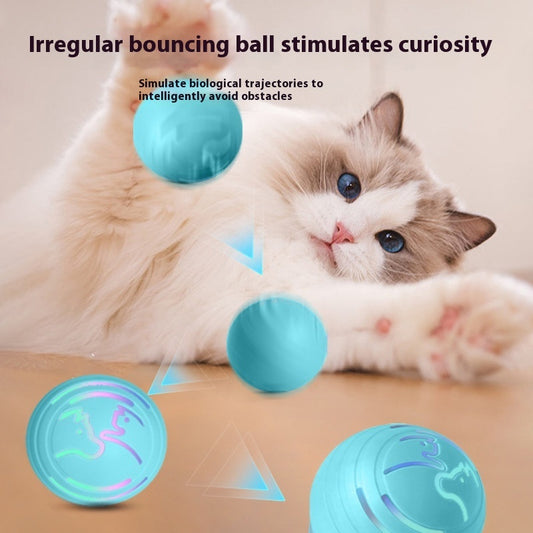 Intelligent Electric Vibration Ball – Interactive Dog & Cat Toy, Bite-Resistant Fun