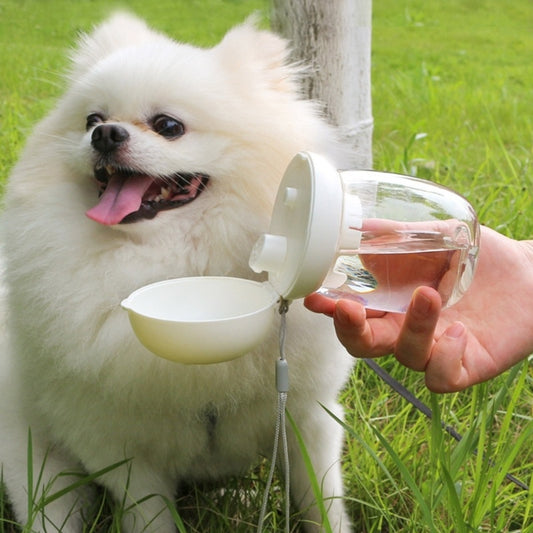 Leak-Proof Portable Dog Water Bottle – 300ml Travel Bottle for Puppies & Dogs