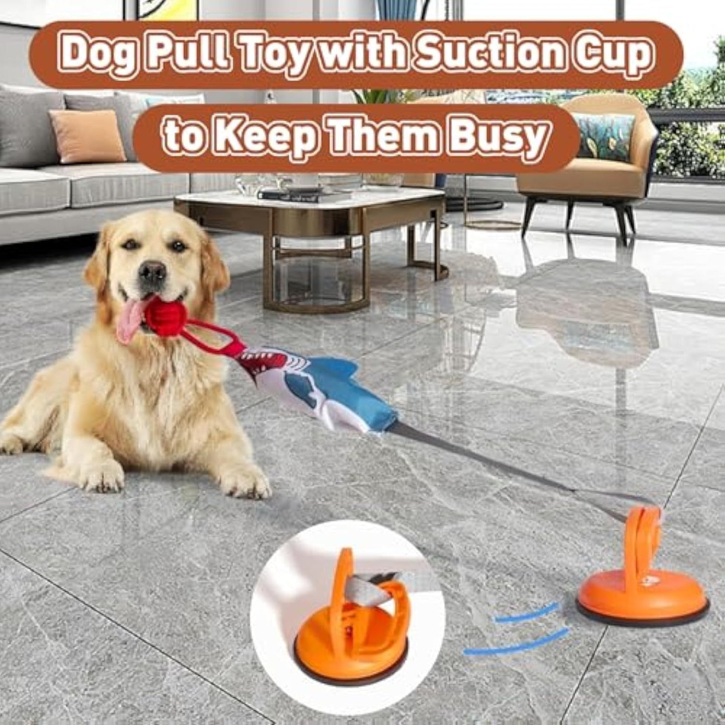 Shark Shape Squeaky Dog Tug Toy with Suction Cup – Durable Rope Pull Toy for Small & Medium Dogs, Indoor/Outdoor Interactive Play
